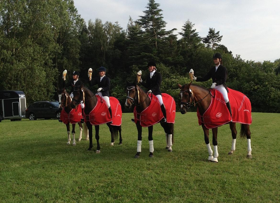 Anden særlig race Mokaia billede 15