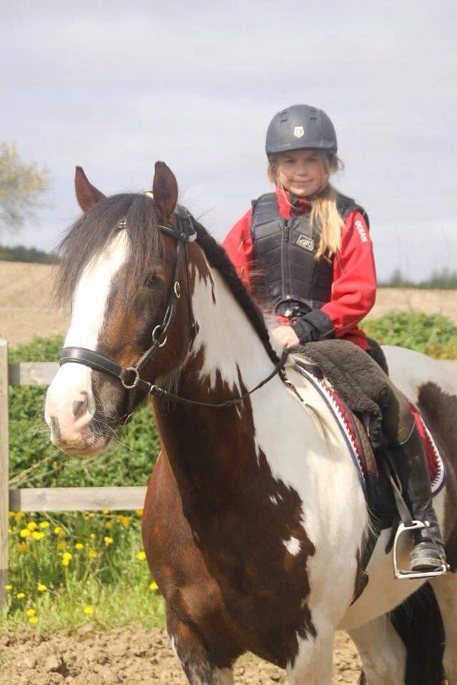 Tinker Holtholms Jolly Jumper billede 7