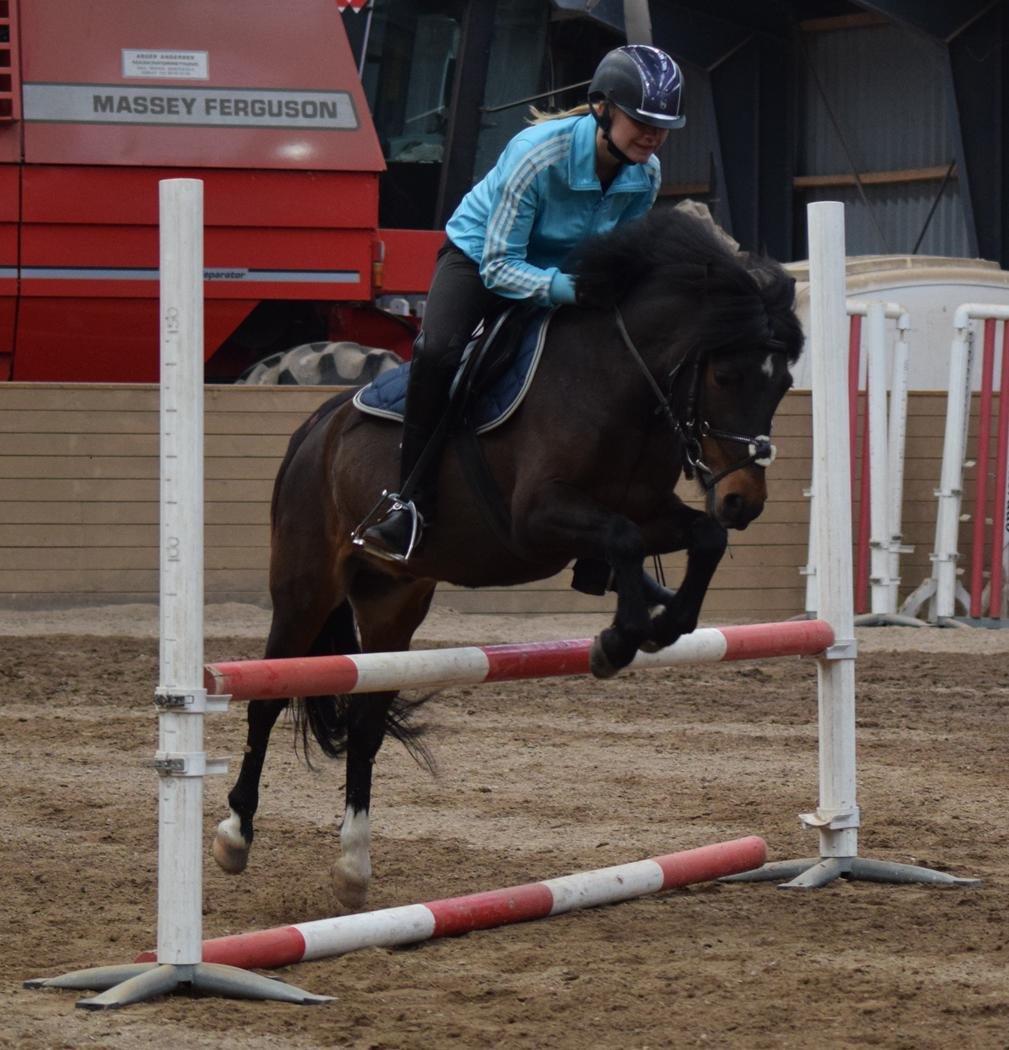 Anden særlig race Prins Ejgil billede 5