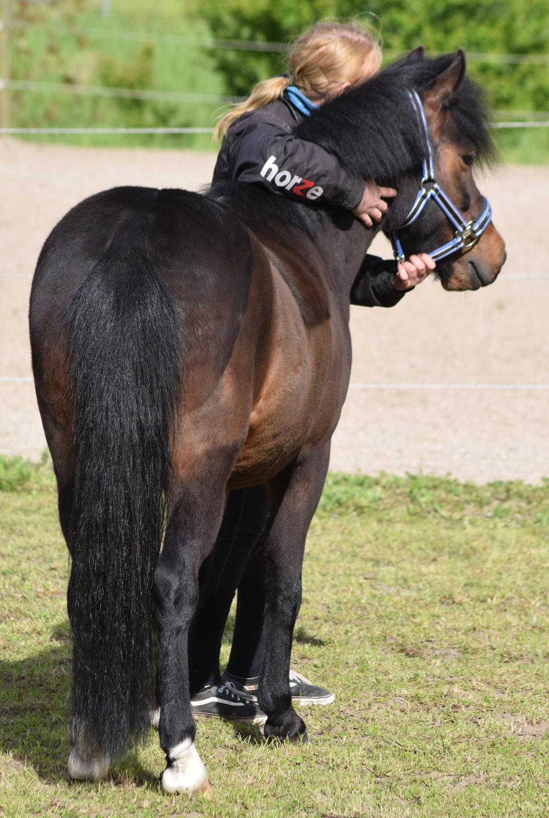 Anden særlig race Prins Ejgil billede 13