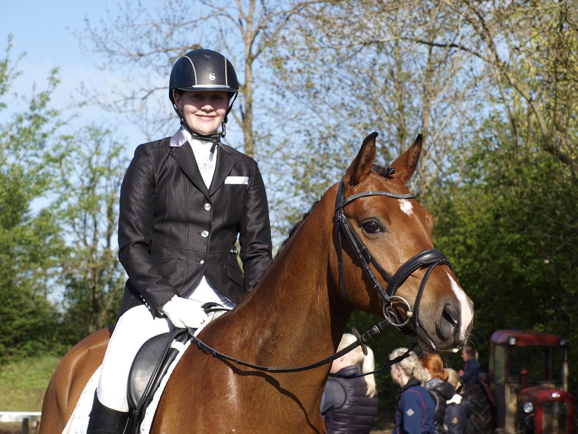 DSP Skovlys Cazador - Da vi var på Morsø :) billede 10