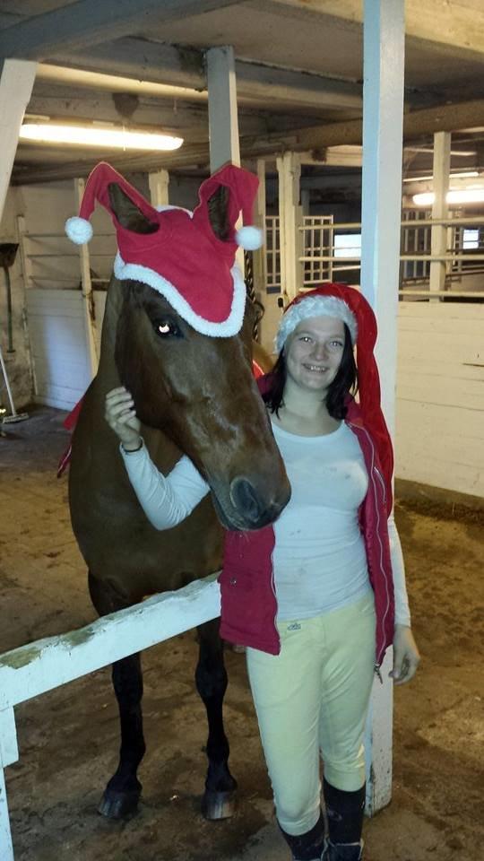 Svensk Varmblod Cassie - Her har vi redet byen rundt og ønsket folk en god jul - 24 december 2014 billede 8