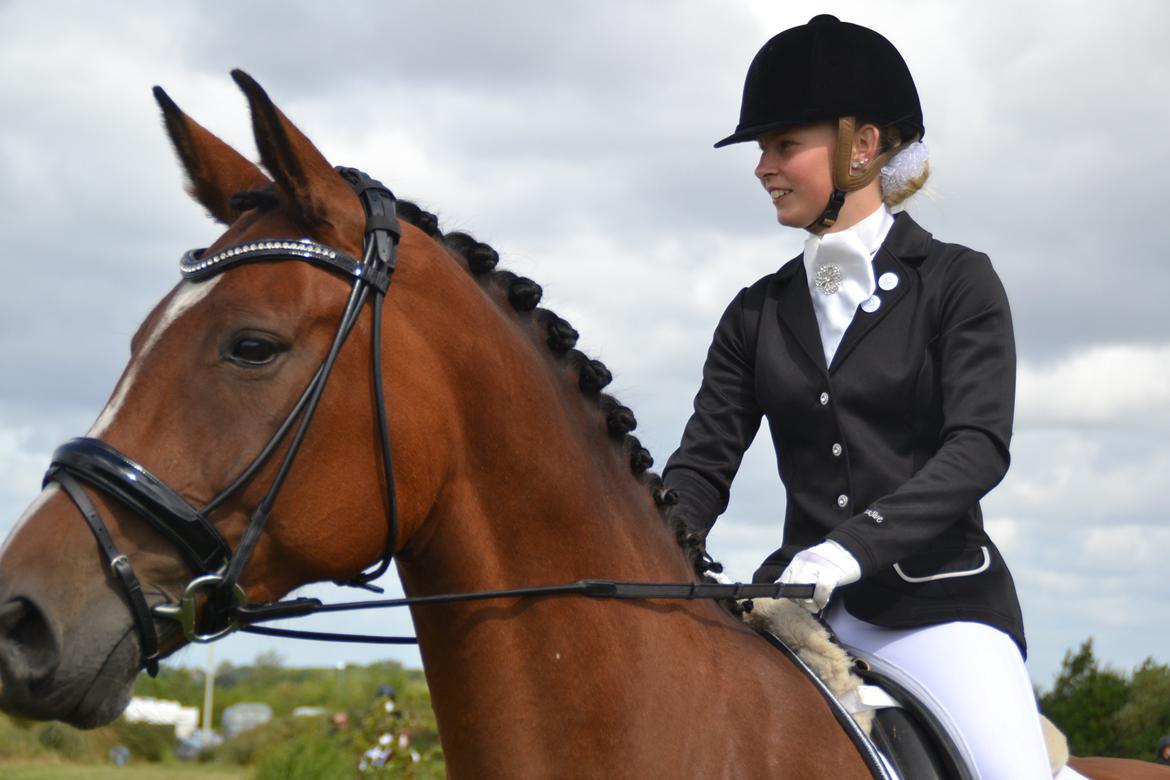 Anden særlig race Chanti billede 1