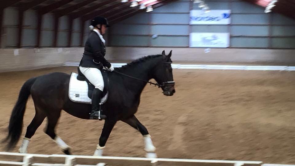 Anden særlig race Lineda billede 3