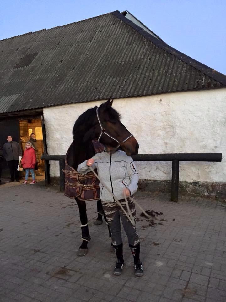 Anden særlig race Lineda billede 10