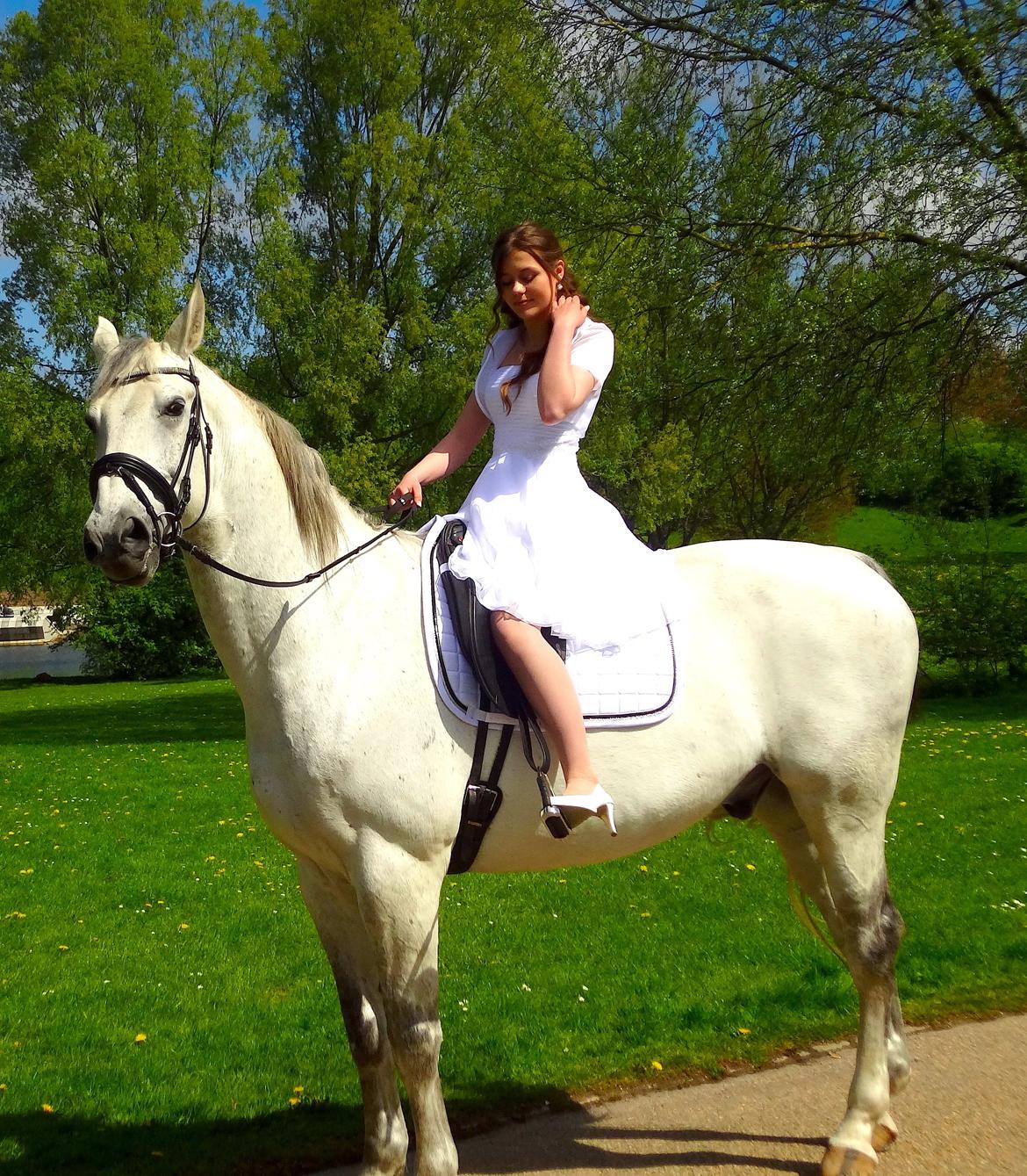 Polsk Varmblod Czereb - Konfirmation 14. maj 2015 billede 9