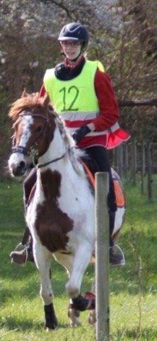 Pinto Sally billede 4