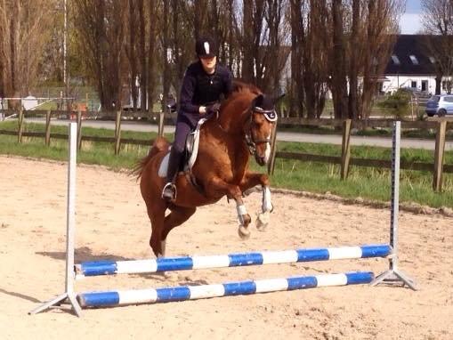 Anden særlig race Diablo billede 2