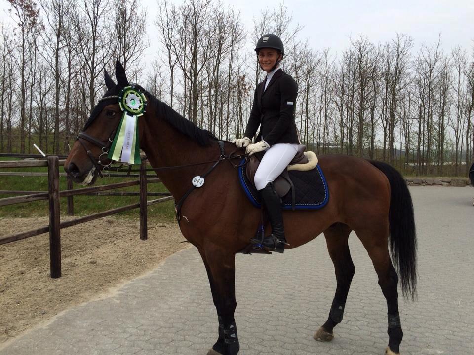 Dansk Varmblod FIGHTER - Nulrunde på Stutteri Ask 2015 billede 2