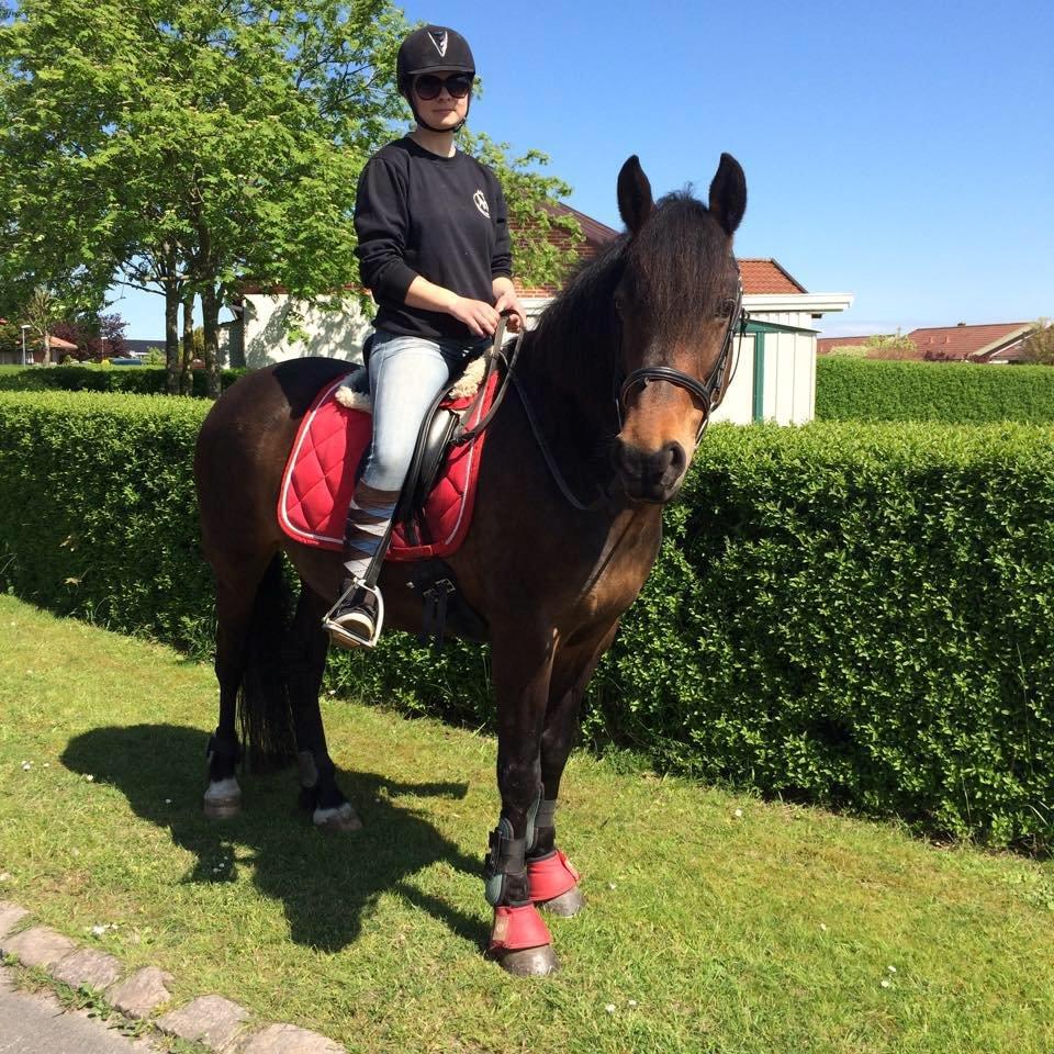 Anden særlig race Luna - Min elskede Luna <3 elsker hende højere end noget andet<3 :* billede 1