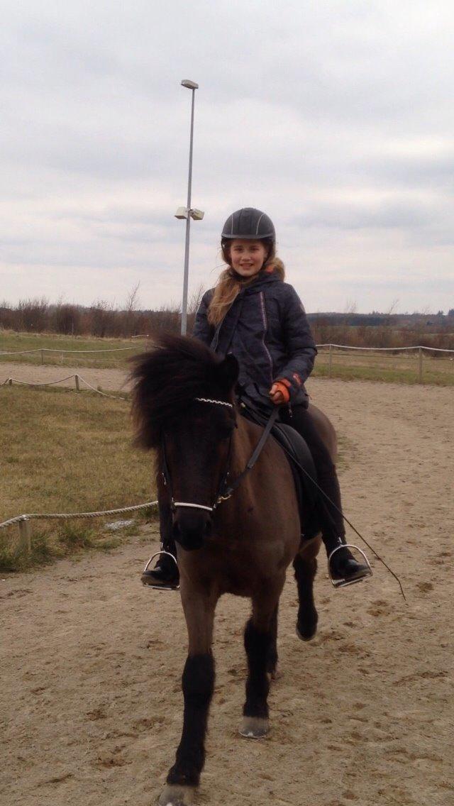 Islænder Blængur fra Hindø billede 17