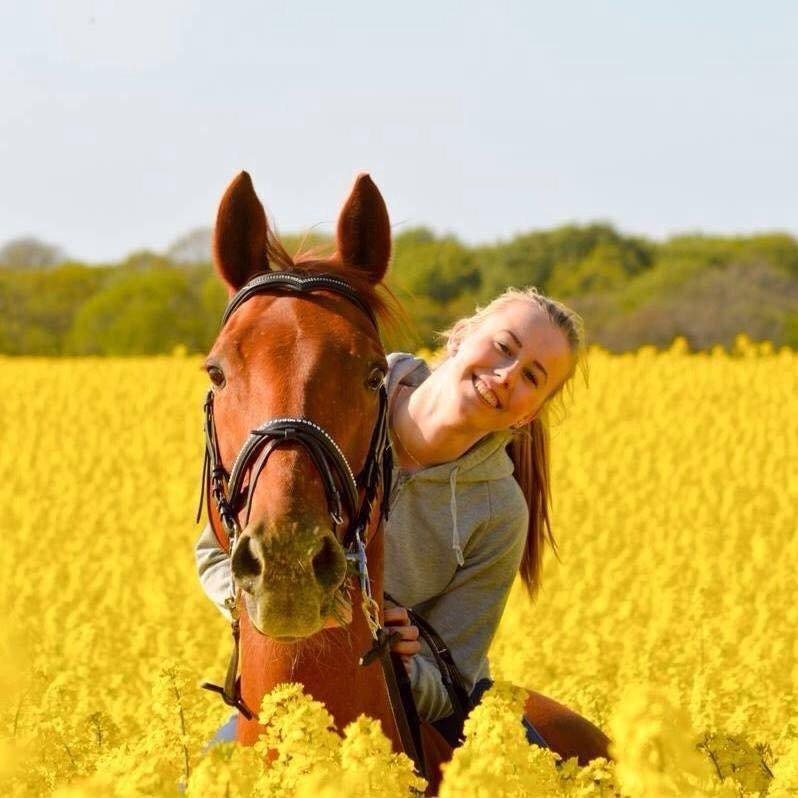 Anden særlig race Hovgårdens Fleur - fotoshoot i rapsmarken billede 1