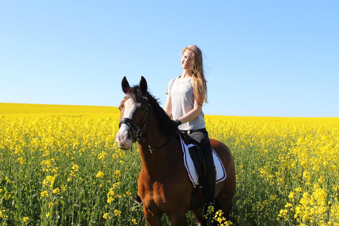 DSP Lassen`s Pay Per View billede 7