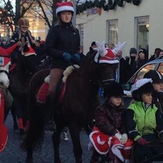 Anden særlig race Kashmina billede 15