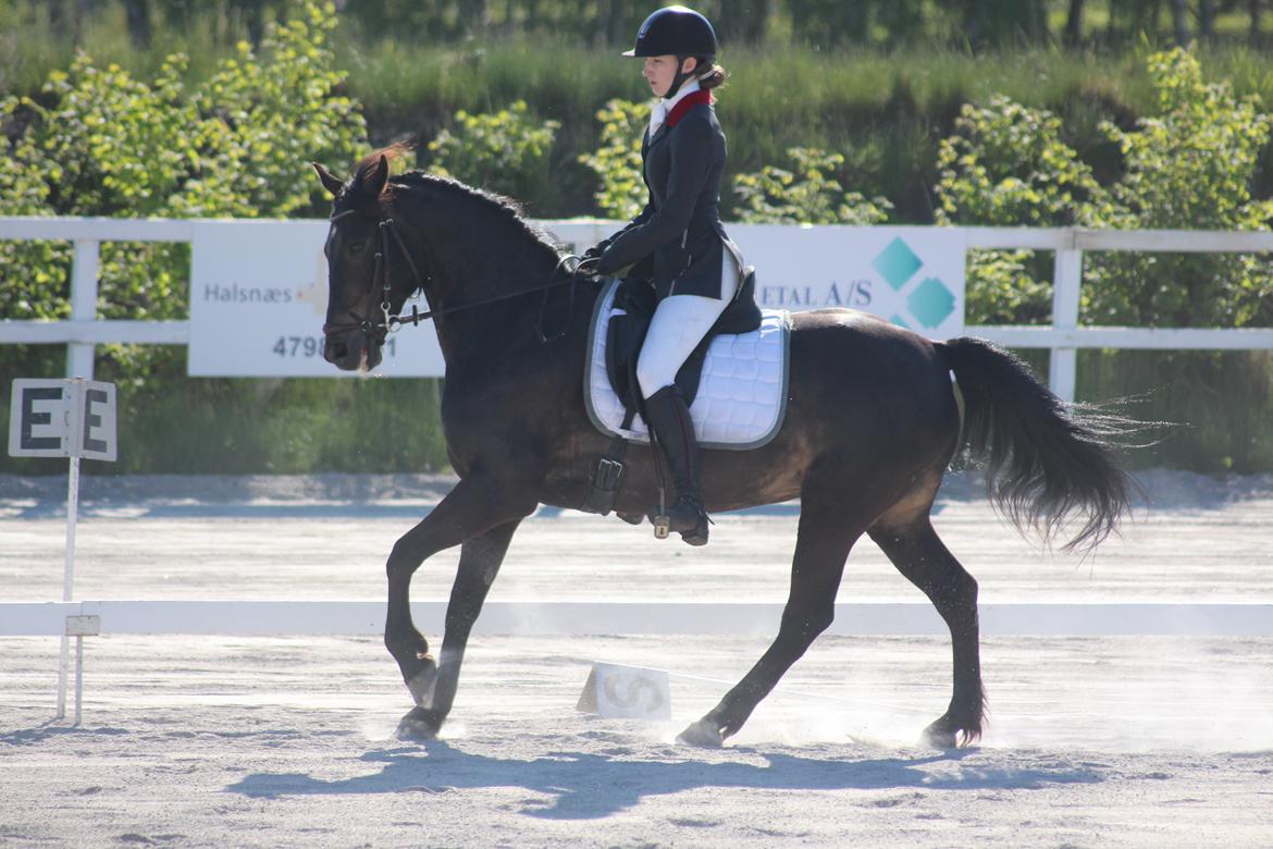 Anden særlig race Bastian billede 4