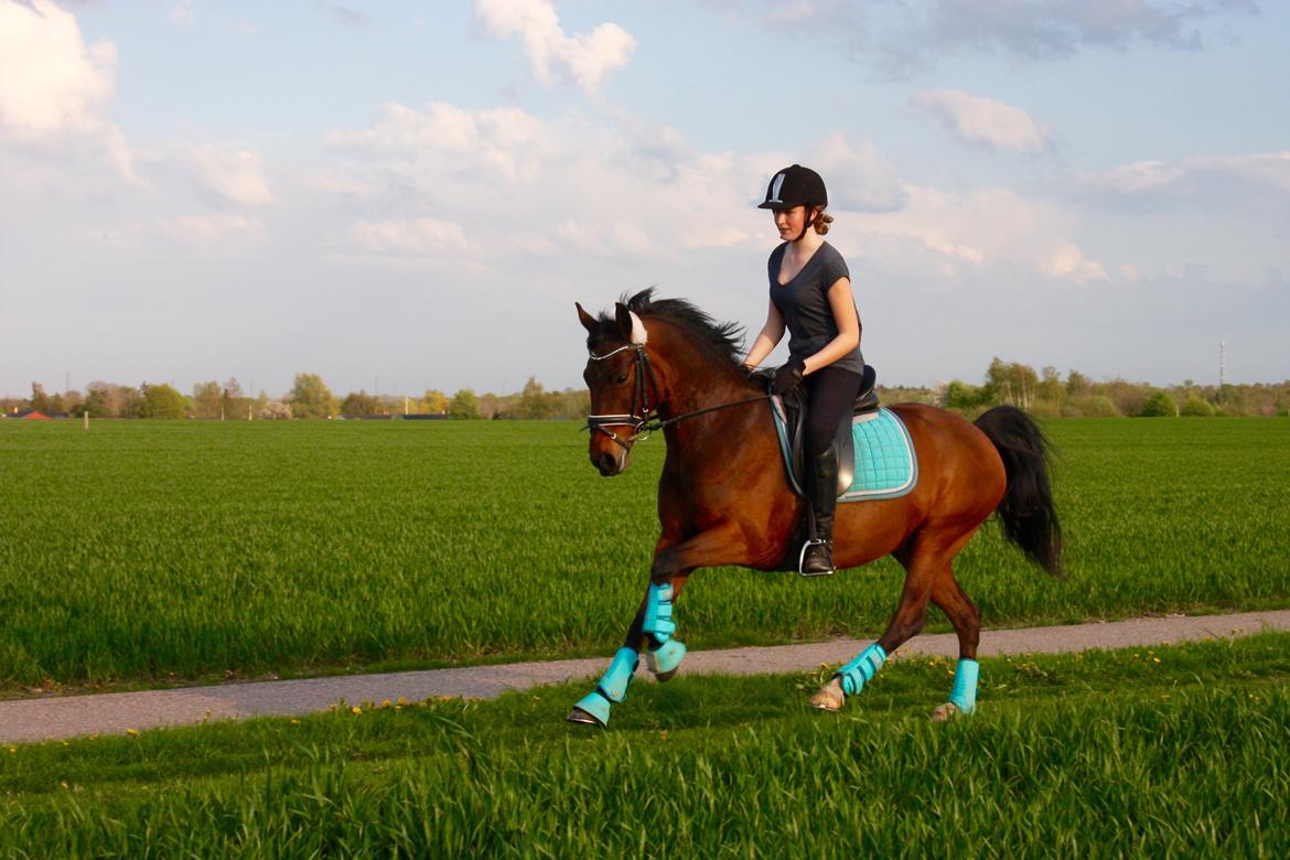 Anden særlig race Dücell - Dejlige tøs på tur til Skenkølsø billede 6