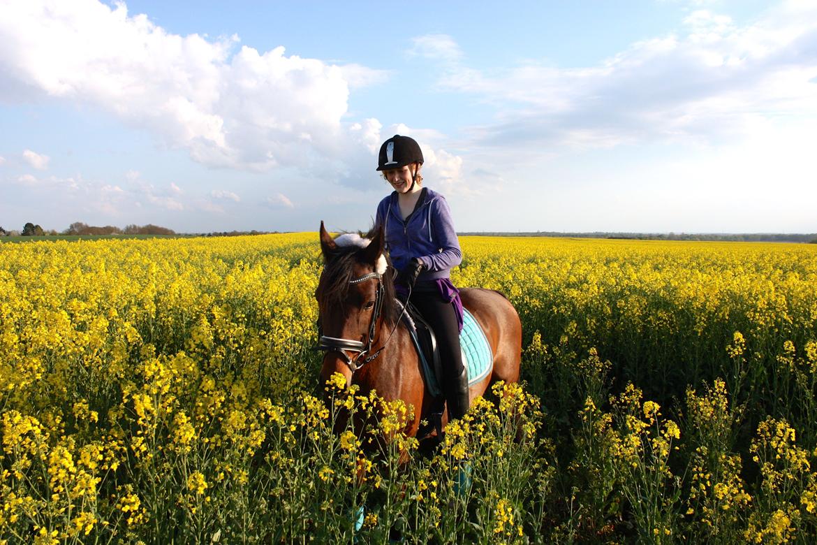 Anden særlig race Dücell - På marken med Dysse <33 billede 2
