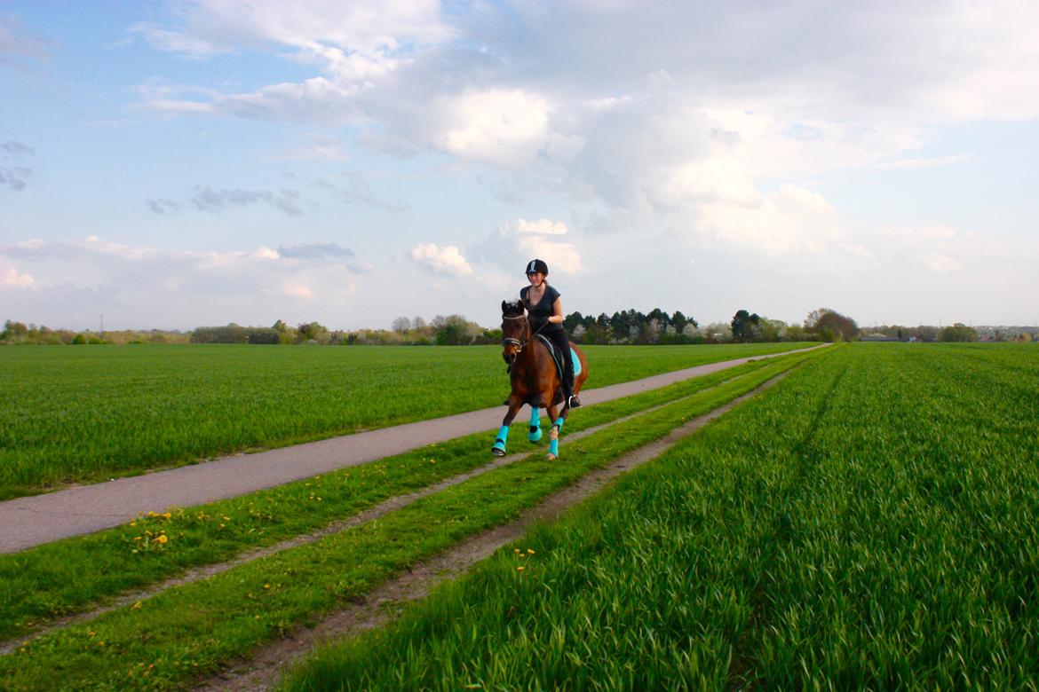 Anden særlig race Dücell - fuld fart frem ad i skenkelsø <3 billede 13