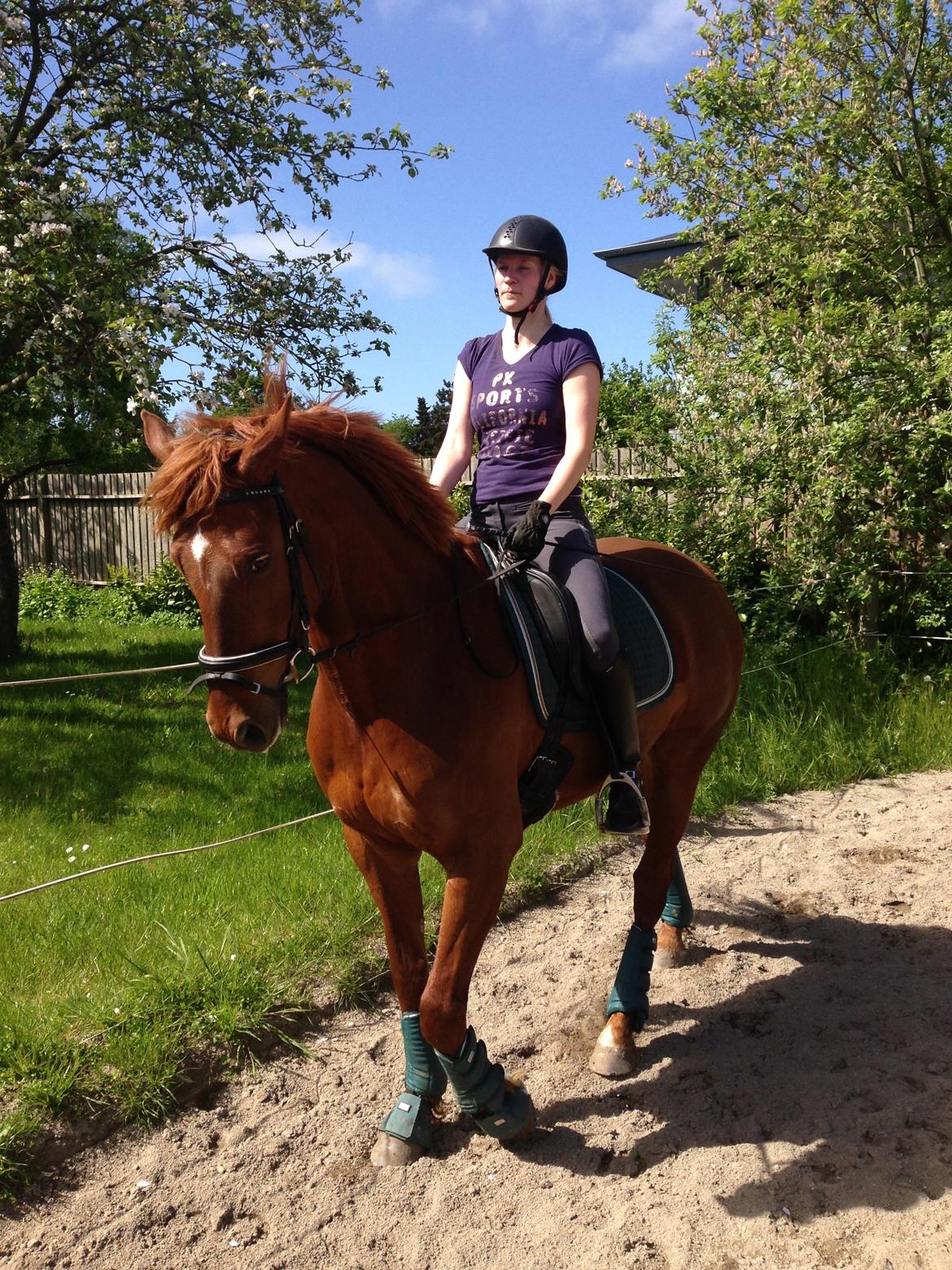 Anden særlig race Fiskegaardens Asterix billede 14