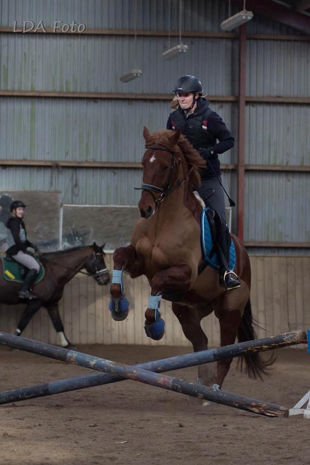 Anden særlig race Fiskegaardens Asterix billede 10