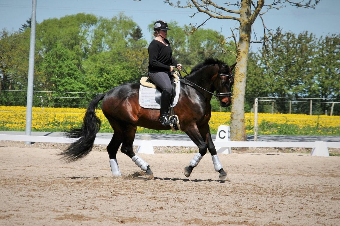 Oldenborg Cataco - Maj 2015 billede 17