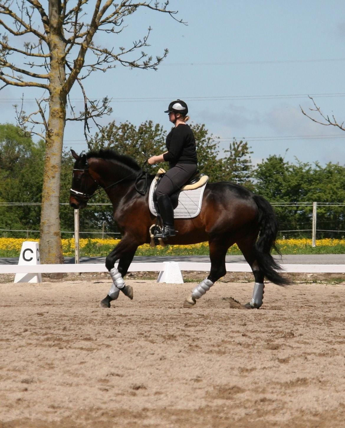 Oldenborg Cataco - maj 2015 billede 18