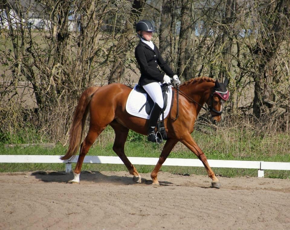 DSP Jalousi Af Stensnæs billede 19