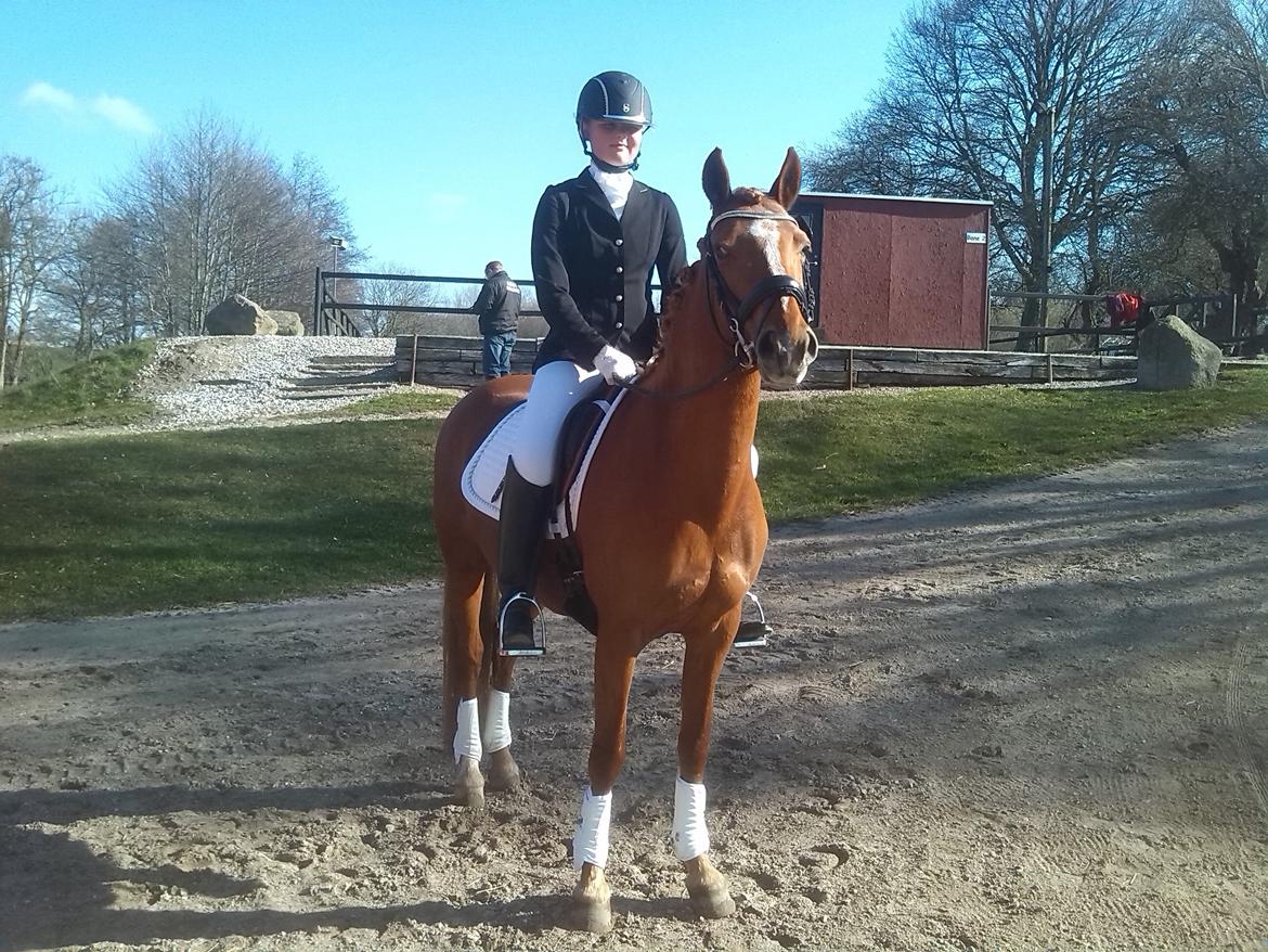 DSP Jalousi Af Stensnæs - vi er så klar til at gå på banen! billede 13