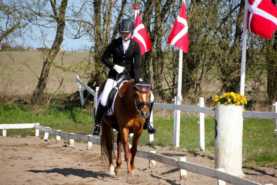 DSP Jalousi Af Stensnæs billede 16