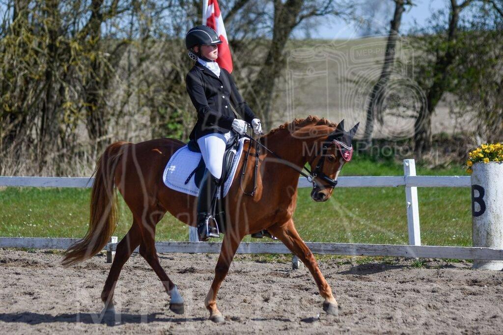 DSP Jalousi Af Stensnæs billede 17