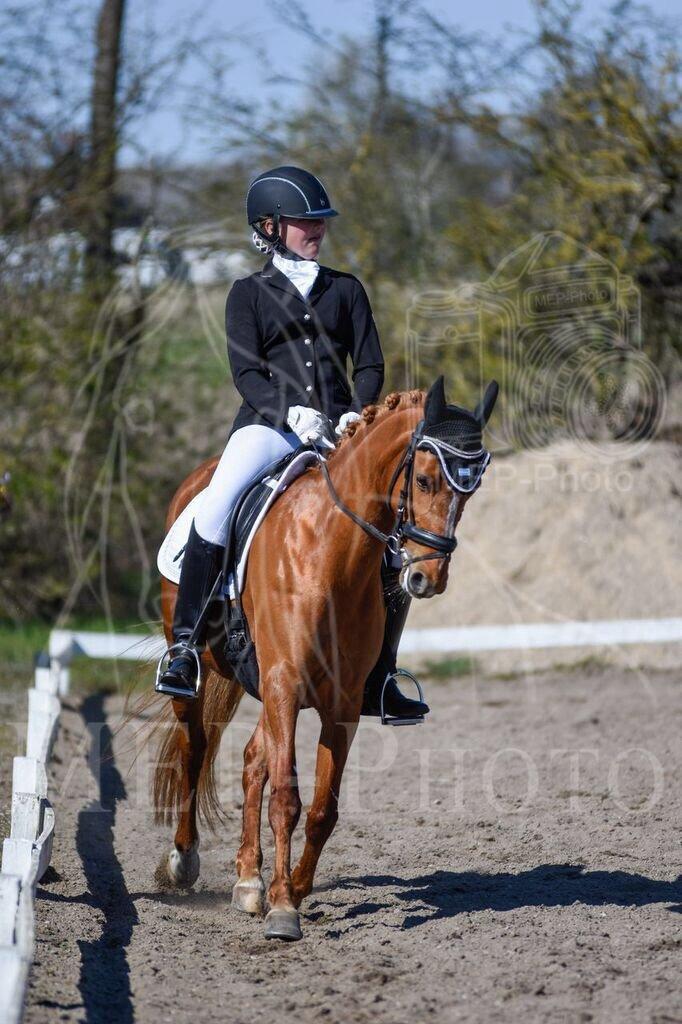 DSP Jalousi Af Stensnæs billede 20