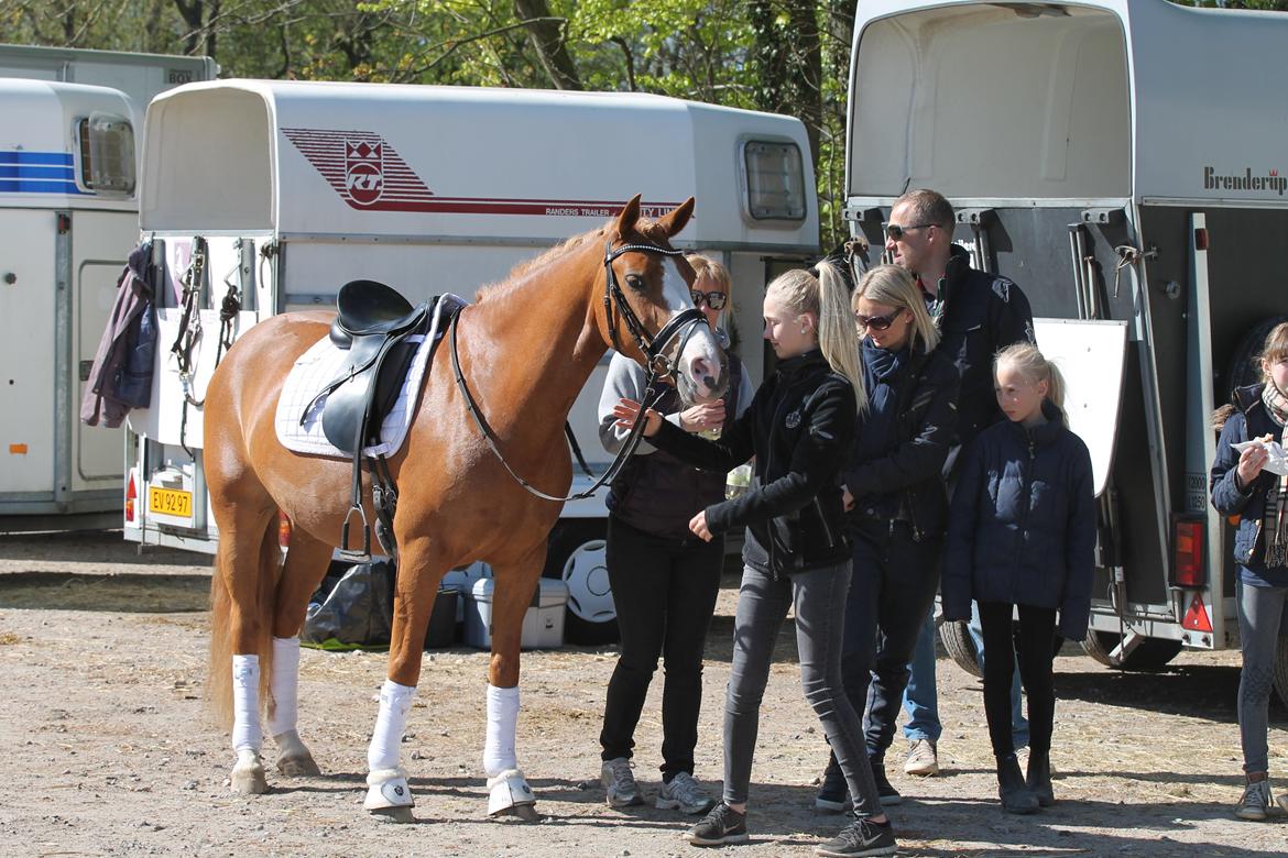 DSP Miss No Name - Bette og hendes dejlige familie! billede 6