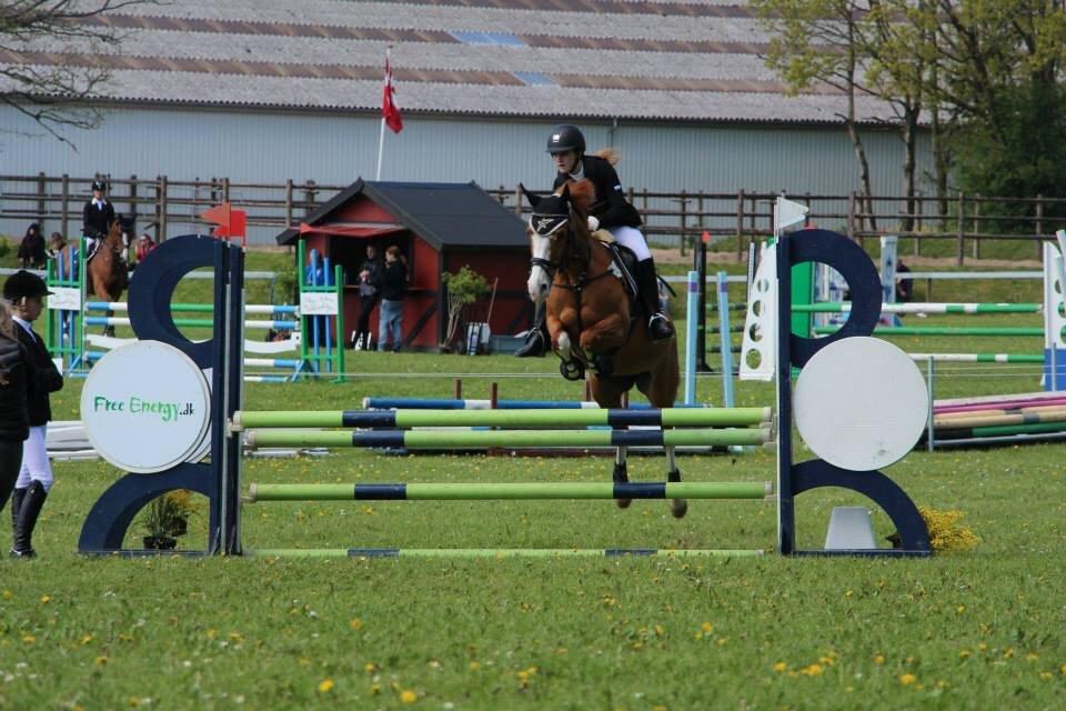 DSP Flicha - Mørsø 2015, LA*  billede 15