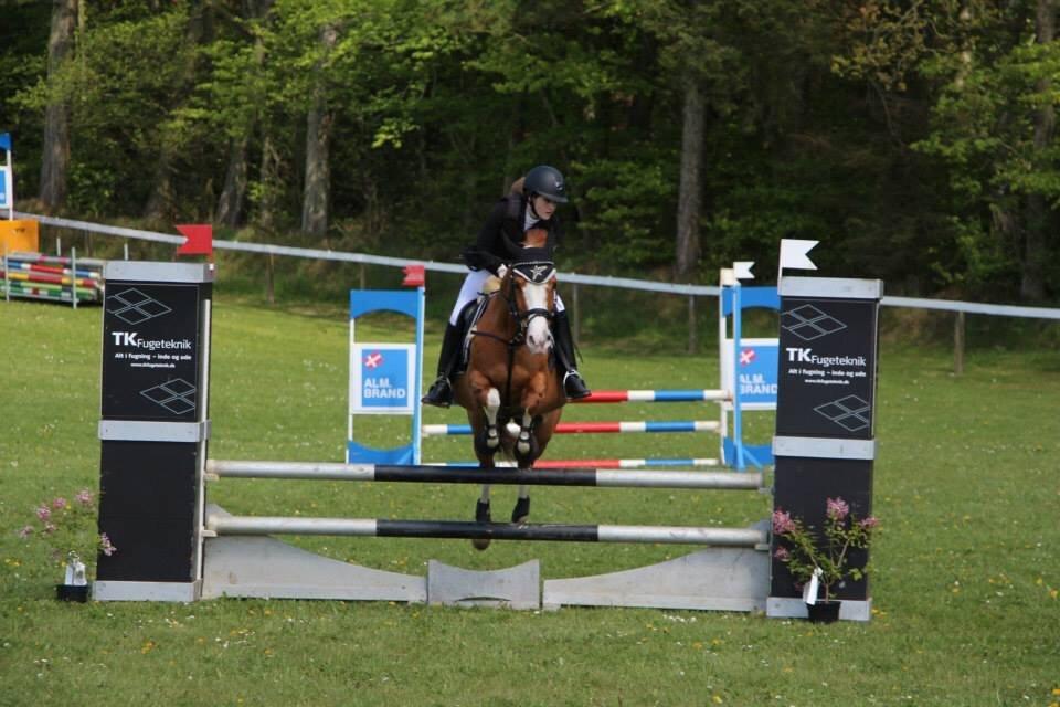 DSP Flicha - Mørsø 2015, LA* billede 16