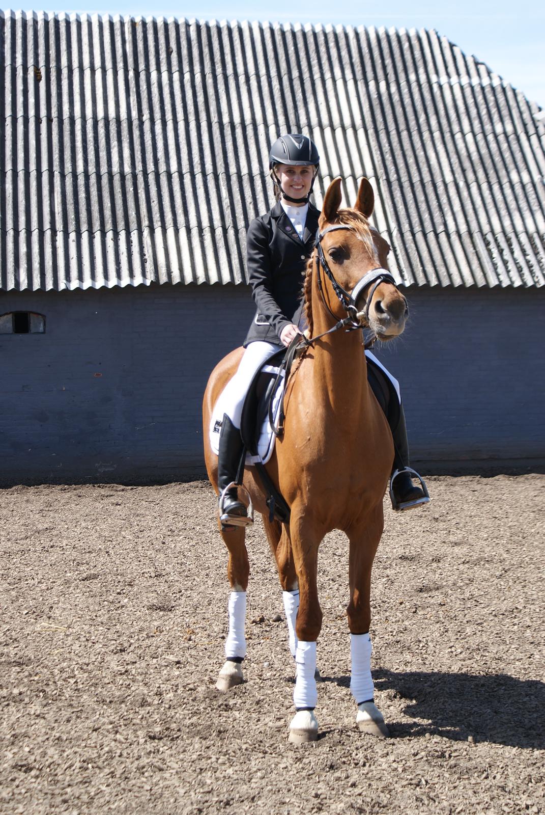 Arabisk fuldblod (OX) Mihrabs Beauty - D. 24-05-15. Vores trejde stævne sammen billede 18