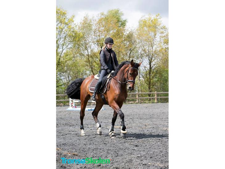 {{currentPhoto.altText}} billede {{currentPhoto.number}}