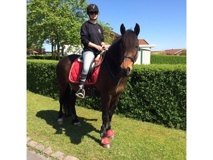 {{currentPhoto.altText}} billede {{currentPhoto.number}}