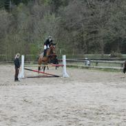 Anden særlig race Rex J Ekko