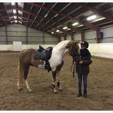 Pinto Saxofon nyberg