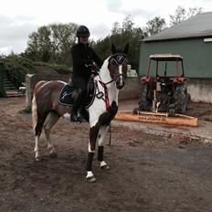 Pinto Saxofon nyberg