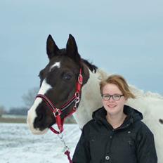 Pinto Stald Almindes Citka Jasmina 