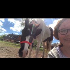 Pinto Stald Almindes Citka Jasmina 