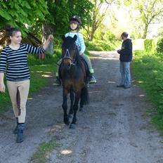 Dartmoor innis netririn 