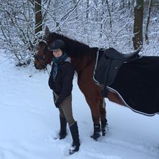 Traver Inspirit (Kiki)