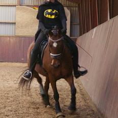 DSP Bæklunds Camikka