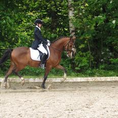 DSP Larsmindes Adriano