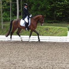 DSP Larsmindes Adriano