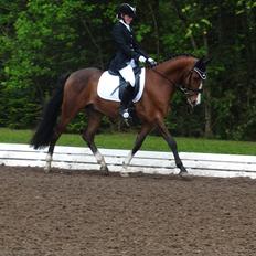 DSP Larsmindes Adriano