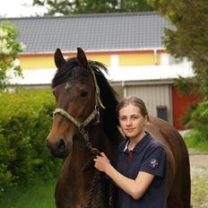 Anden særlig race Teglovnens Sjasmina