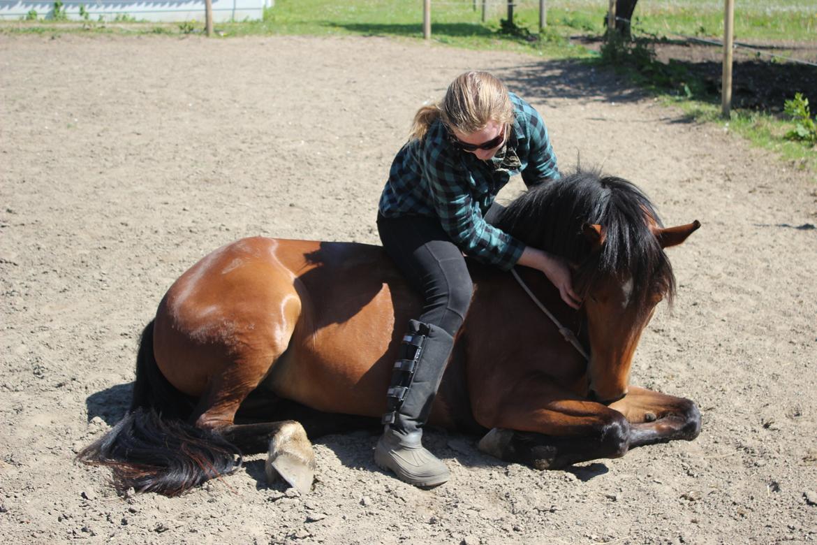 Anden særlig race Kit Kat (Stjerneponyen<3) - 24.05.15  Dejlige Kittemus <3 billede 13